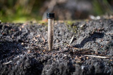 Üniversite öğrencisi orman sağlığı üzerine araştırma yapıyor. Çiftçi tarladaki bir test tüpünden toprak örnekleri topluyor. Çiftlikteki toprak karbon ve bitki sağlığını kontrol eden tarımcı. 