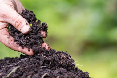 Çiftçinin toprak tutması Amerika 'daki toprak karbona bir çiftlikte bakması