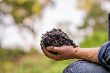 Çiftlikte tarımcılık yapan bir tarımcı. Toprak işleme uzmanı. Ev laboratuarında toprak testi yapıyor. Toprak hayatına bakıyorum. 