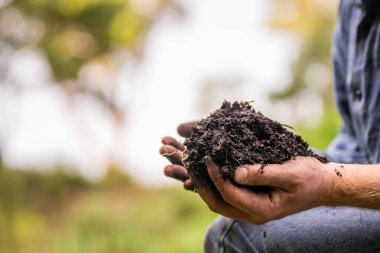 Üniversite öğrencisi orman sağlığı üzerine araştırma yapıyor. Çiftçi tarladaki bir test tüpünden toprak örnekleri topluyor. Çiftlikteki toprak karbon ve bitki sağlığını kontrol eden tarımcı. 