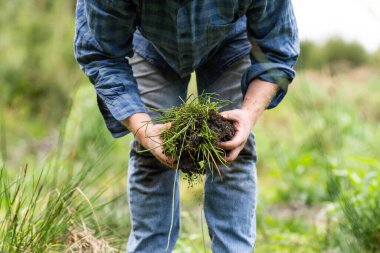 Çiftçinin toprak tutması Amerika 'daki toprak karbona bir çiftlikte bakması