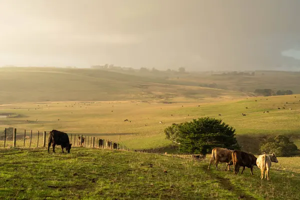 stock image Sustainable Agriculture Practices: Enhancing Ecosystems, Livelihoods, and Resilience through Holistic, Carbon-neutral Approaches