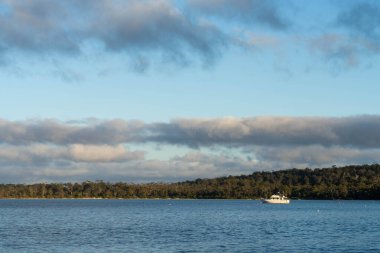 Avustralya 'da bir körfezde sakin bir su, arkasında bir tekne ve bir orman arazisi var.