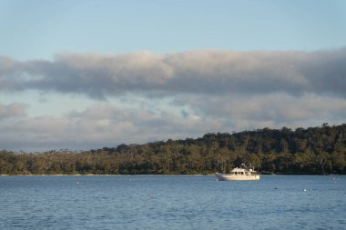 Avustralya 'da bir körfezde sakin bir su, arkasında bir tekne ve bir orman arazisi var.