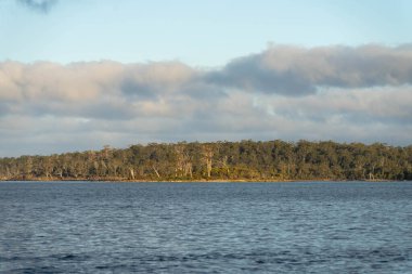 Avustralya 'da bir körfezde sakin bir su, arkasında bir tekne ve bir orman arazisi var.
