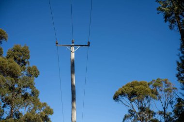 Avustralya 'daki çalılıklarda elektrik hatları. Güç direkleri