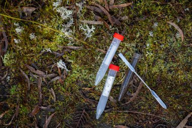 Yerli Avustralya ağacı ve çalılıklardaki bitkiler, el ele tutuşan yerel bitkiler üzerine iklim araştırmaları 