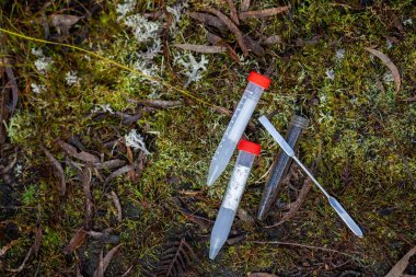 Avustralya ormanlarındaki mantarlar topraktan mantar örneği alıyorlar.