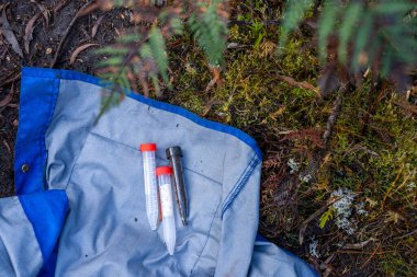 farmer agronomist taking fungi soil sample and looking at plant health to grow more food to sell in a field clipart