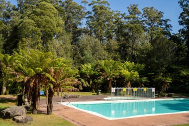 Ormanda yüzme havuzu ulusal bir parkta. 