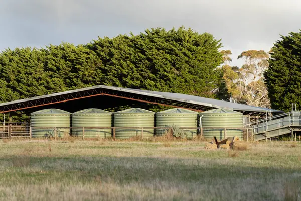 stock image cattle yards on farm with a roof with plastic water tanks around them