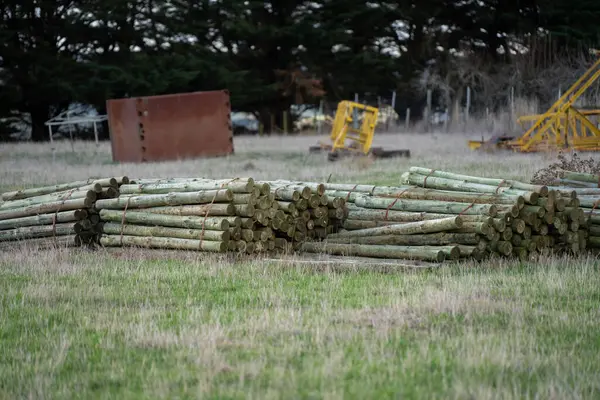 stock image farm Sustainability in Australia, Utilizing Pine Posts for Rural Land Management and Agricultural Development in Forestry 