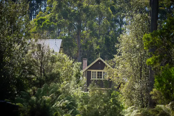 stock image wooden house in forest surronded by trees and plants in summer