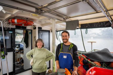 Avustralya 'daki güzel sığırlar ot yer, otlakta otlarlar. Tarımsal bir çiftlikte yetiştirilen sığır sürüsü. Sürdürülebilir tarım ürünleri. 