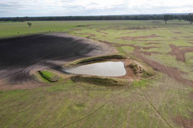 İngiltere 'de bir çiftlikte sığır eti. Baharda çayırda otlayan İngiliz sığırları. Sürdürülebilir bir tarım çiftliğinin otlağında büyüyen yeşil çimenler. çiftlik hayvanları