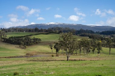 Arkasında bir dağ olan güzel bir manzara.