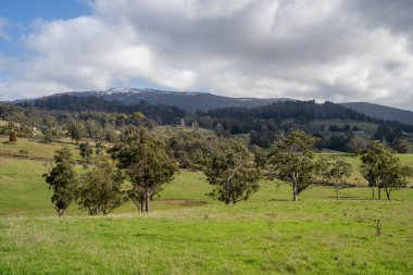Avustralya 'nın kırsal kesiminin güzel manzarası