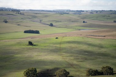 Arka planda mavi gökyüzü olan yeşil bir tarlanın manzarası