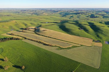 Avustralya 'da sürdürülebilir çiftlik hayvanları yetiştiriciliği: Avustralya' da yaz aylarında Avustralya 'da Kuraklıkta Sığır Yetiştirme Uygulamaları