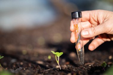 Bilim adamı araştırmacı iklim değişikliğinin toprak ve orman sağlığı etkilerini araştırıyor. Üniversite öğrencisi çalılık toprak yapısı ve biyoloji çeşitliliği üzerine araştırma yapıyor. Toprak örneği taşıyor.
