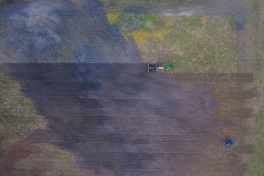 Avustralya 'daki güzel sığırlar ot yer, otlakta otlarlar. Tarımsal bir çiftlikte yetiştirilen sığır sürüsü. Amerika 'da sürdürülebilir tarım