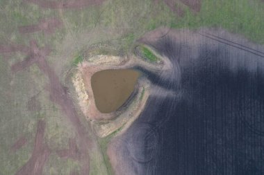 Avustralya 'da sürdürülebilir çiftlik hayvanları yetiştiriciliği: Avustralya' da yaz aylarında Avustralya 'da Kuraklıkta Sığır Yetiştirme Uygulamaları
