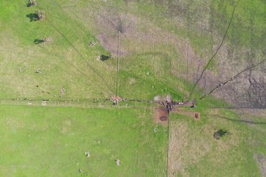 Avustralya 'da sürdürülebilir çiftlik hayvanları yetiştiriciliği: Avustralya' da yaz aylarında Avustralya 'da Kuraklıkta Sığır Yetiştirme Uygulamaları
