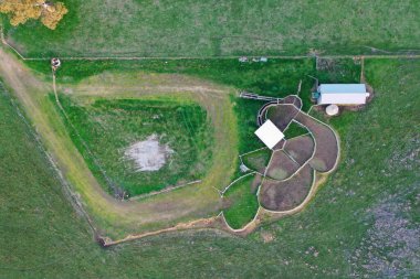 Avustralya 'da yazın alacakaranlıkta altın bir tarlada inekler. Otlakta otlayan sığır sürüsü. Tarımsal bir çiftlikte yetiştirilen sığır sürüsü. Sürdürülebilir tarım 