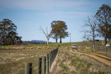 driving down a dirt road gravel road in outback australia in a ute truck on a farm a wire fence clipart