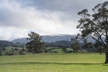 İlkbaharda bir çiftlikte yetişen ağaçlar ve yemyeşil çayırlar.