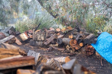 Tazmanya Avustralya 'da bir evin yanındaki bahçeye istiflenmiş odun yığını.