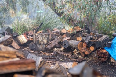 Tazmanya Avustralya 'da bir evin yanındaki bahçeye istiflenmiş odun yığını.
