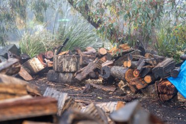 Tazmanya Avustralya 'da bir evin yanındaki bahçeye istiflenmiş odun yığını.