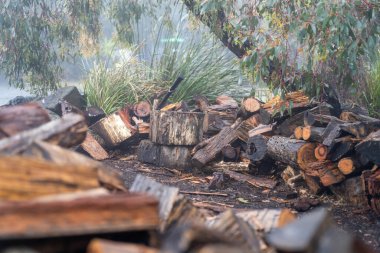 Tazmanya Avustralya 'da bir evin yanındaki bahçeye istiflenmiş odun yığını.