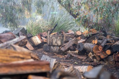 Tazmanya Avustralya 'da bir evin yanındaki bahçeye istiflenmiş odun yığını.
