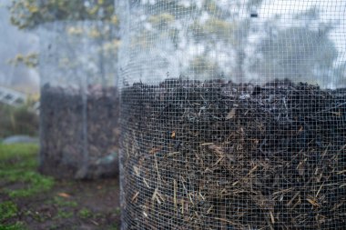 Tazmanya Avustralya 'da bir çiftlikte dönen organik termofilik gübre yığınının sıcaklığını ölçmek