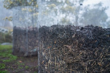 Toplum bahçesinde gübre yığınını çevirmek. Mikroorganizmalarla dolu gübre. Toprak örneğiyle sürdürülebilir yenilenebilir tarım. Sıcaklığı tarımda bir termometreyle ölçmek