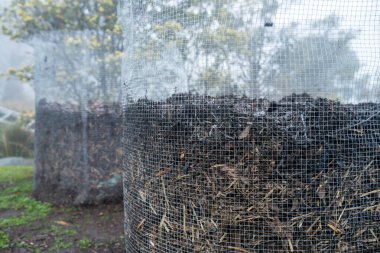Toplum bahçesinde gübre yığınını çevirmek. Mikroorganizmalarla dolu gübre. Toprak örneğiyle sürdürülebilir yenilenebilir tarım. Sıcaklığı tarımda bir termometreyle ölçmek