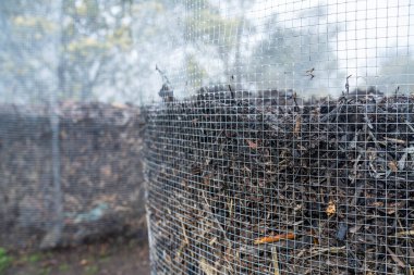 Tazmanya Avustralya 'da bir çiftlikte dönen organik termofilik gübre yığınının sıcaklığını ölçmek