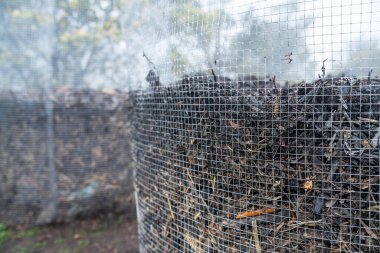 Tazmanya Avustralya 'da bir çiftlikte dönen organik termofilik gübre yığınının sıcaklığını ölçmek