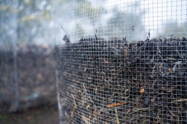Toplum bahçesinde gübre yığınını çevirmek. Mikroorganizmalarla dolu gübre. Toprak örneğiyle sürdürülebilir yenilenebilir tarım. Sıcaklığı tarımda bir termometreyle ölçmek