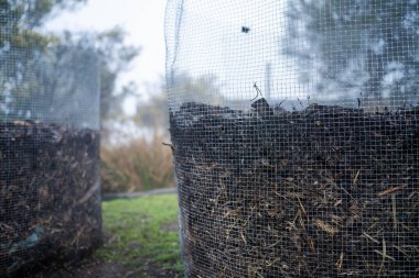 Tazmanya Avustralya 'da bir çiftlikte dönen organik termofilik gübre yığınının sıcaklığını ölçmek