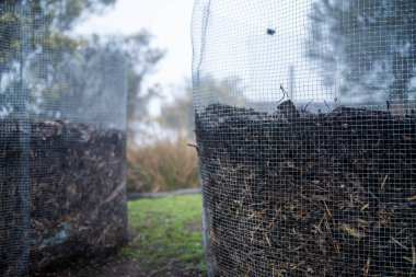 Tazmanya Avustralya 'da bir çiftlikte dönen organik termofilik gübre yığınının sıcaklığını ölçmek