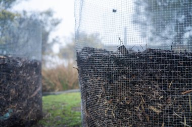 Tazmanya Avustralya 'da bir çiftlikte dönen organik termofilik gübre yığınının sıcaklığını ölçmek