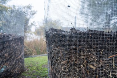 Toplum bahçesinde gübre yığınını çevirmek. Mikroorganizmalarla dolu gübre. Toprak örneğiyle sürdürülebilir yenilenebilir tarım. Sıcaklığı tarımda bir termometreyle ölçmek