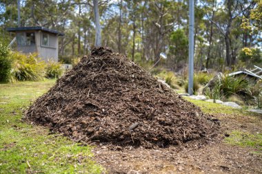 Toplum bahçesinde gübre yığınını çevirmek. Mikroorganizmalarla dolu gübre. Toprak örneğiyle sürdürülebilir yenilenebilir tarım. Sıcaklığı tarımda bir termometreyle ölçmek