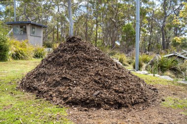 measuring the temperature of a Compost pile, organic thermophilic compost turning in Tasmania Australia on a farm clipart