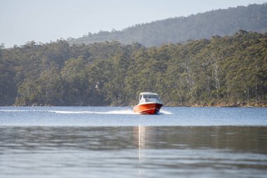 tinny dinghy boat on the water making a wake behind a boat making waves on a river in a national park in australia. beach in summer, dingy going fast in the wilderness clipart