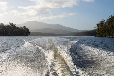 tinny dinghy boat on the water making a wake behind a boat making waves on a river in a national park in australia. beach in summer, dingy going fast in the wilderness clipart