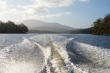 tinny dinghy boat on the water making a wake behind a boat making waves on a river in a national park in australia. beach in summer, dingy going fast in the wilderness clipart